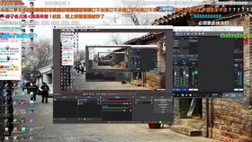 (我的公司996金钱)谁是创作《我的公司996金鱼》的艺术家?