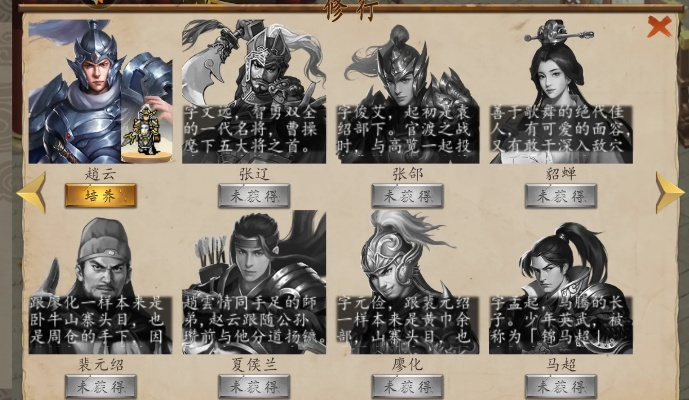 《赵云传纵横天下》全方位游戏攻略流程解析:步步为营,过关斩将