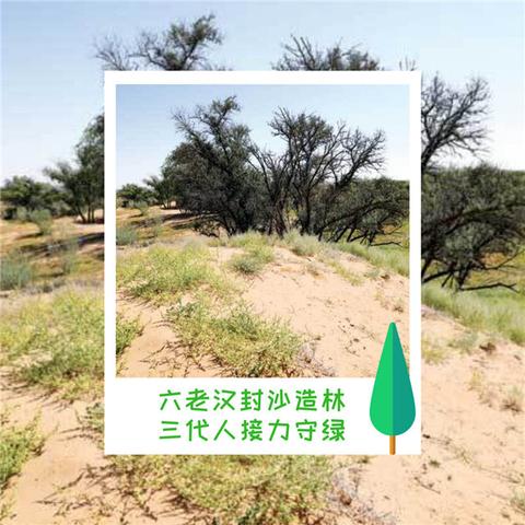 (2021年基本农田栽树如何处理)基本农田栽树新规定:保障农田生态,促进可持续发展。 (2021年基本农田栽树如何处理)基本农田栽树新规定:保障农田生态,促进可持续发展。