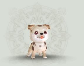 (可爱 宠物)最受欢迎的可爱宠物排行榜冠军-第一名宠物盛况 (可爱 宠物)最受欢迎的可爱宠物排行榜冠军-第一名宠物盛况