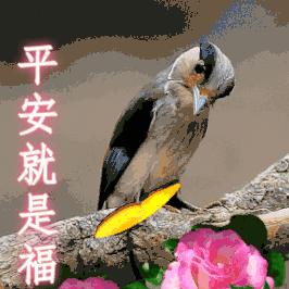 (我出门了表情)潮流必备!我出去了表情包,让你的留言更有趣! (我出门了表情)潮流必备!我出去了表情包,让你的留言更有趣!