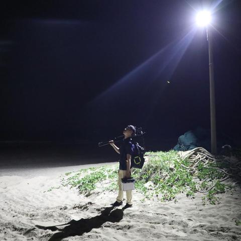 (夜幕求生)探索深夜神秘世界：夜幕者游戏菜单版全新特性及玩法详细解析