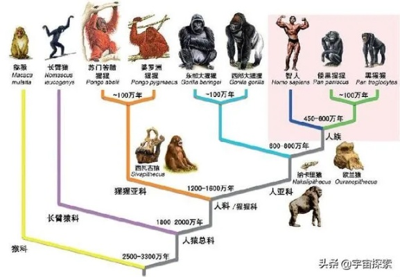 (地球 纪元)地球纪元顺序表：探索人类历史与未来之变迁