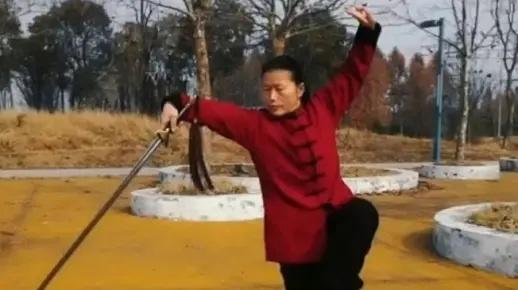 (罗征武当太极剑视频)揭秘罗征49式武当太极剑的神秘绝技与传承