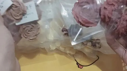 打包仓鼠零食，让您沉浸在美味的世界中