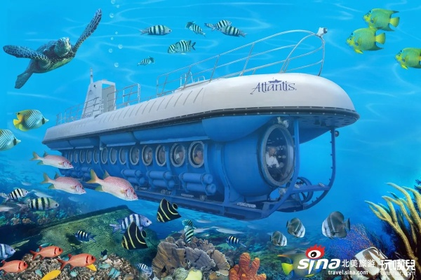 (海底世界的潜水)探秘神秘海底世界：潜水艇介绍视频全方位解读