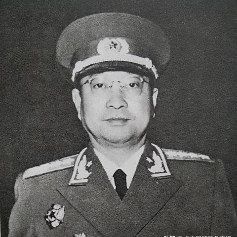 (代号是什么东西)代号是什么？解读隐秘的身份标识和神秘暗号