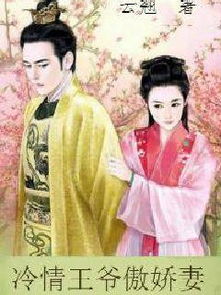 (霸道王爷冷清妃)霸道城主与清冷王妃：权力与冷艳在古代王国中的交织与矛盾