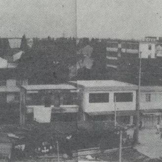 (沉木 作品)古老沉木的独特韵味：创意无限的沉木作品展示