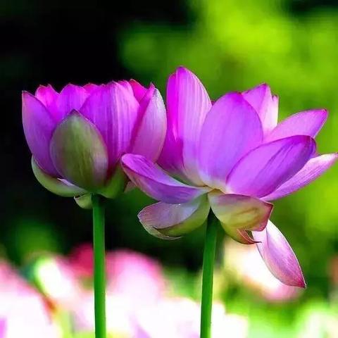 (尘世什么意思,怎么讲)探寻尘世界的奥秘：尘世界究竟是什么意思？