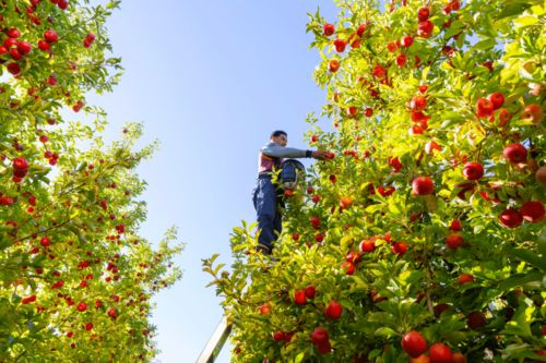 (寻找顶级制造)寻找顶级丹方小说全文免费阅读攻略