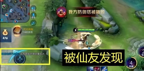 网络热议非仙勿扰停服现象:游戏真实情况与玩家期待碰撞引发热议 网络热议非仙勿扰停服现象:游戏真实情况与玩家期待碰撞引发热议