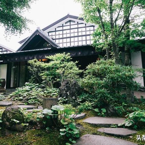 在空想森林中主角是哪两位？深入探讨这对特殊角色的故事与意义