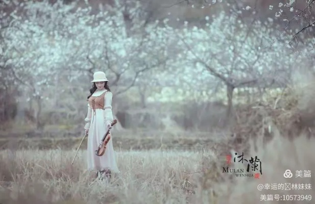 在春风拂面时，倾听葬花纯音乐带来的沁人心脾的宁静与思绪