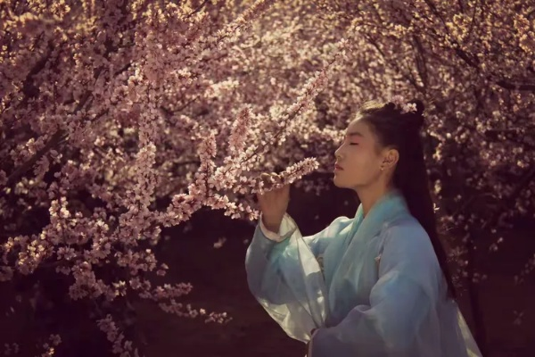 在春风拂面时，倾听葬花纯音乐带来的沁人心脾的宁静与思绪