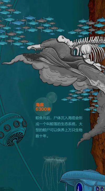 (鲲艮的奇怪任务)探索鲲的奇幻世界:一场沉浸式游戏体验的冒险之旅 (鲲艮的奇怪任务)探索鲲的奇幻世界:一场沉浸式游戏体验的冒险之旅