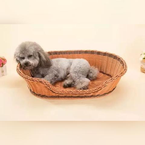 狩猎是人类的本能，狩猎是人类的本性，狩猎是人类的本领，狩猎是展现人类勇气和智慧的一种方式。