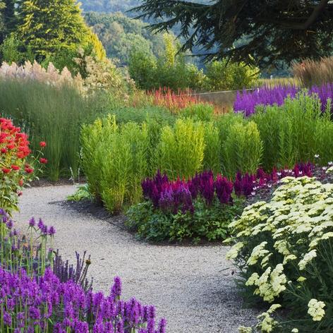 (我的秘密花园故事)探秘我的秘密花园：隐藏在心灵深处的神秘世界