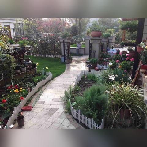 (我的秘密花园故事)探秘我的秘密花园:隐藏在心灵深处的神秘世界 (我的秘密花园故事)探秘我的秘密花园:隐藏在心灵深处的神秘世界