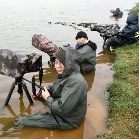 (猎豹模拟中文版下载)沉浸式体验：探索模拟猎豹游戏中的疯狂速度与野生生存挑战