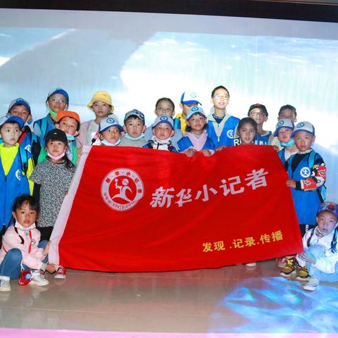 (萌宠探险闯关小游戏)探险乐园：萌宠大冒险app，带你进入奇幻世界探索无限乐趣