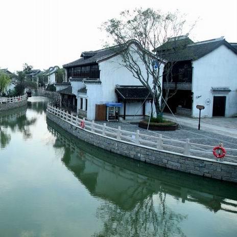 (紫金花是什么意思?)紫金繁花更名为何？探秘背后的原因和意义是什么？