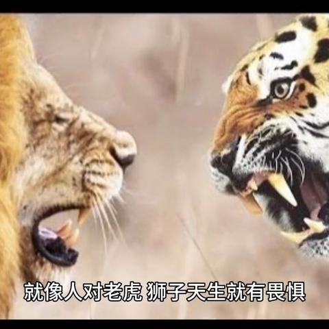 高校诡谈第三章攻略图:揭秘高校灵异事件,挖掘隐藏谜团的秘密指南 高校诡谈第三章攻略图:揭秘高校灵异事件,挖掘隐藏谜团的秘密指南