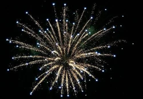 (看鲤鱼解说烟花模拟器用英语怎么说)烟花模拟器鲤鱼同款,华丽绚烂的夜空之舞 (看鲤鱼解说烟花模拟器用英语怎么说)烟花模拟器鲤鱼同款,华丽绚烂的夜空之舞