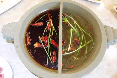 (清汤涮香菜免费阅读)清汤涮香菜全部小说——一碗暖心的文字美食盛宴