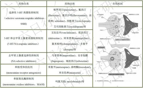 (disorder depression)深入探讨'Disorder'一词的含义及其在心理健康和社会科学中的应用