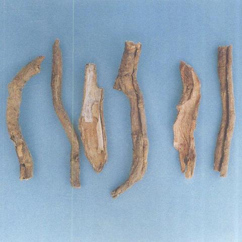 (本草归元录游戏)探寻本草归元录攻略:解密古代草药秘籍,掌握生活健康密码 (本草归元录游戏)探寻本草归元录攻略:解密古代草药秘籍,掌握生活健康密码