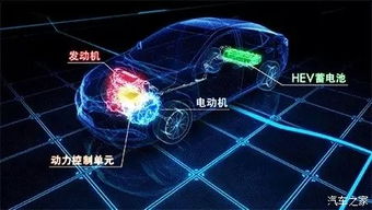 (双界的交织点怎么样)双界链接点什么时候开始出现在网络中？