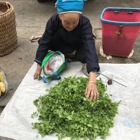 探寻自然之美：推荐几款开荒、种地、建房的游戏，让你尽情创造新世界