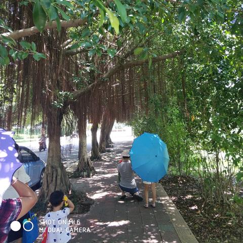 (蓝天卫士官方网站)蓝天卫士新手教程视频大全：全方位指导带你快速掌握使用技巧