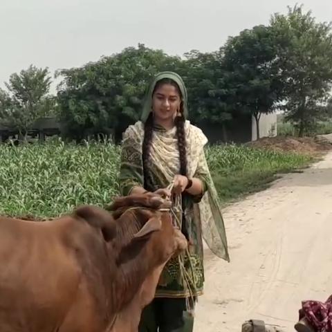 深度解析：艾丽莎的任务攻略及其对于新手玩家的指导价值和实战应用