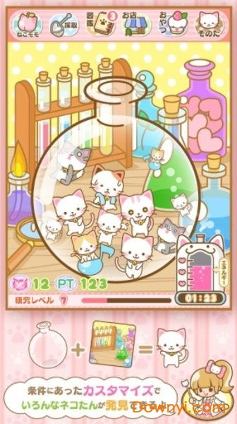 (小猫咪 小游戏)精彩纷呈的小猫咪游戏大全，快来体验可爱喵星人的乐趣！