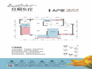 全面解析红房子攻略手交技巧：从基础知识到实用技巧全方位指导