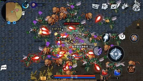 如何在黑白之地这款游戏中获取更多乐趣与攻略技巧，全面解析玩法与策略！