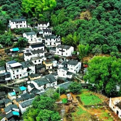 享受无限可能： '桃源记'内购解锁版无需激活码，轻松探索古朴山村的奇妙冒险