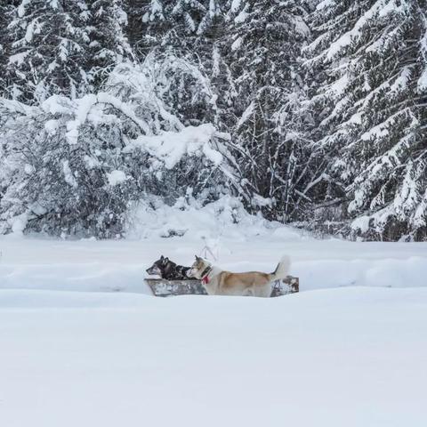 (2021创世纪神礼包兑换码永久)探索低价格神秘范围：创世纪神折扣版带来全新魔幻体验