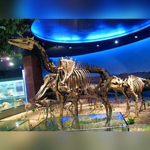 (4d恐龙大战)重温几年前的恐龙4D游戏单机，探索恐龙世界的奇妙之旅