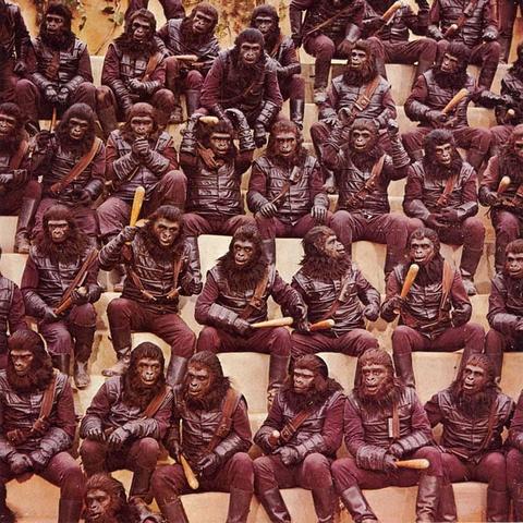 (猩球崛起1-3百度云网盘)猩球崛起1百度云盘资源神秘曝光，网友疯狂搜寻中