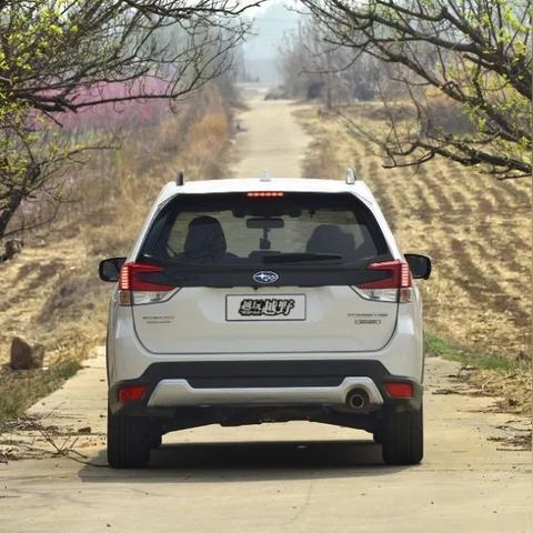 (侠客行mud安卓客户端)探寻泥泞中的英雄之路：《Mud侠客行手游》深度解析