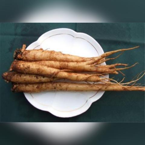 (朝鲜炮兵阵地)炮炮兵动漫之朝鲜战争：胜利与和平的漫长之路