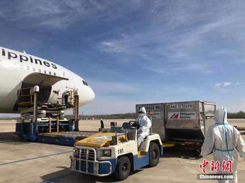 (茶叶蛋70版本)探索茶叶蛋的奇幻世界：从第1关到第100关的大冒险与挑战