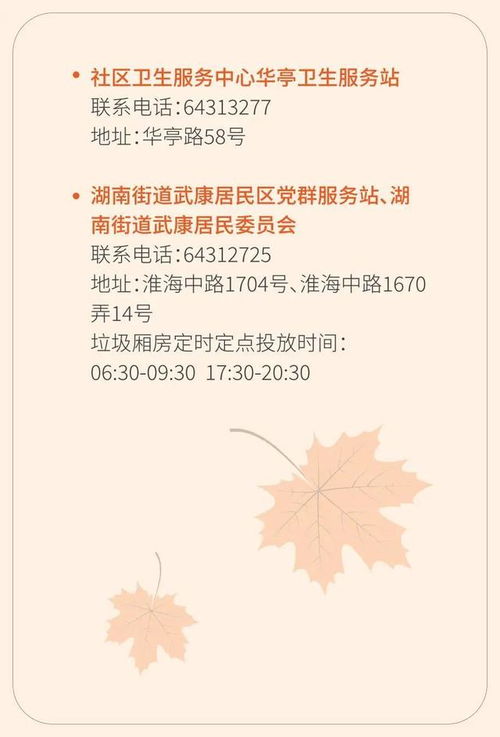 治愈日记 长桐：记录心灵自愈之路的日常魅力，探索生活中的小确幸