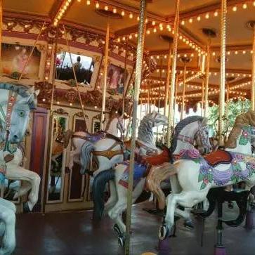 (探险骑兵游戏)探索骑士冲呀论坛：揭秘骑士们的秘密战术和高手争霸的故事