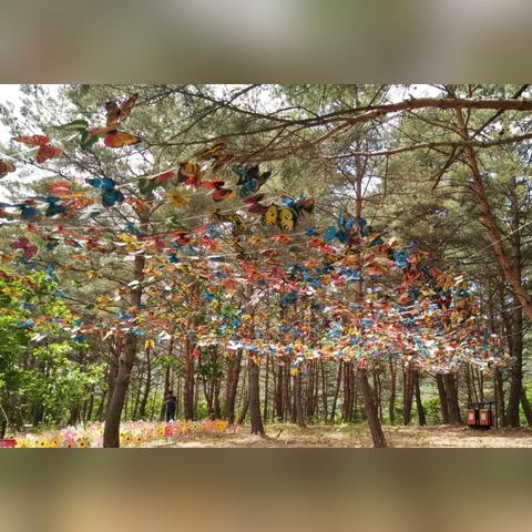 探索互动娱乐新模式：以梦幻动物园游戏为载体，打造畅享自然科学教育的新奇体验