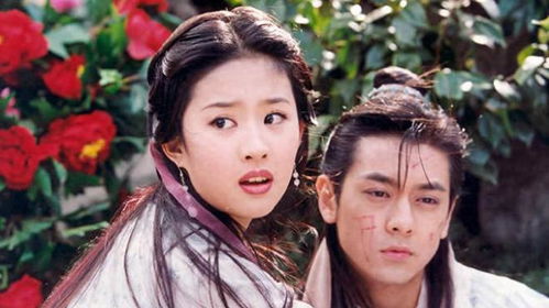 (天龙段正淳小说)我在天龙为段正淳守护红颜，爱恋之情跨越时空长存