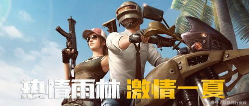 重磅推荐：战场模拟器无广告全武器解锁版打造极致体验，引人入胜的真实战斗等你来挑战